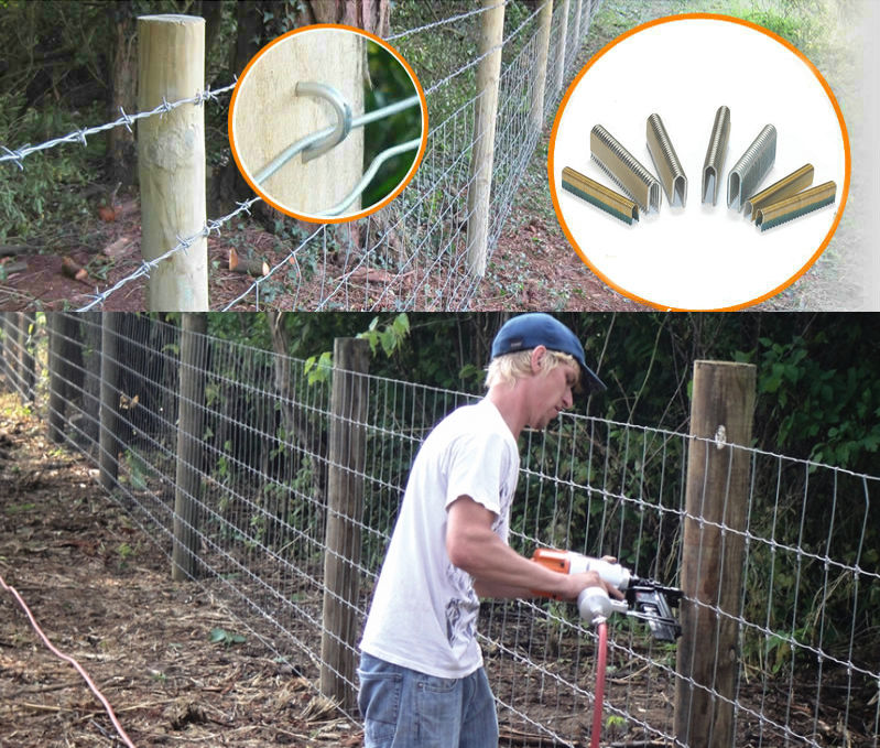 10.5 Gauge 11/4" Paper Collated Barbed Fencing Staples KYA FASTENERS