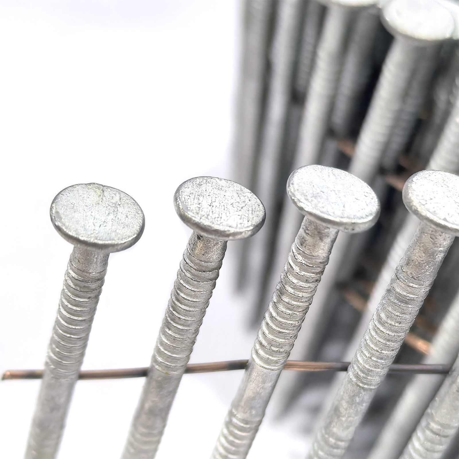 Hot Dipped Galvanized Coil Nails 15 Gradus 2.8x64mm Ring Shank