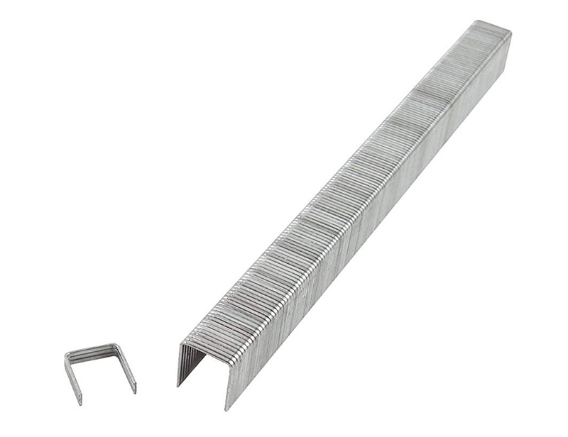 3 8 Crown Staples