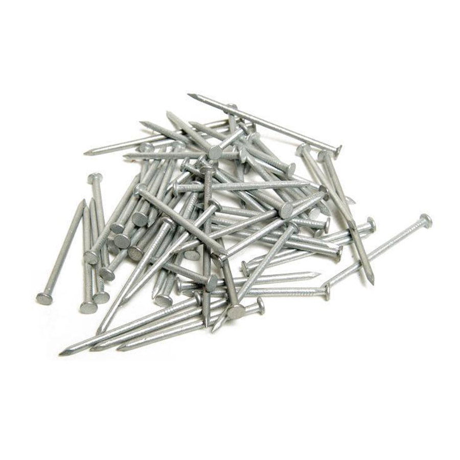 Galvanized Round Wire Steel Common Nails 10D