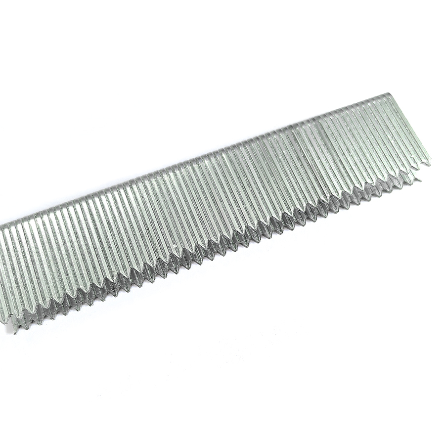 18 Gauge 9025DP divergente punt 1/4 duim smal kroon krammetjies