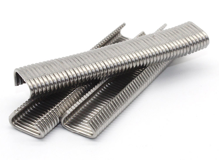 حلقه های گراز فولاد ضد زنگ 515DSS50B 