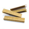 16 calibre 3/4 pouce u couronne Staples BCS31p avec colle