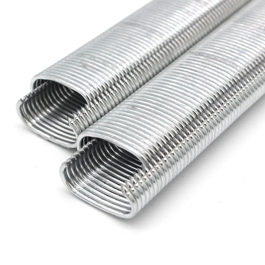 16GA 16G110 3/4 Pulgadas Galvanizado Cerdo Anillo Grapas