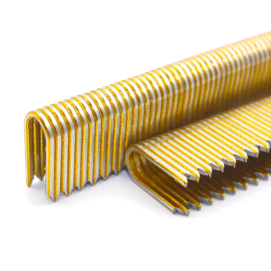 16 calibre 3/4 pouce u couronne Staples BCS31p avec colle